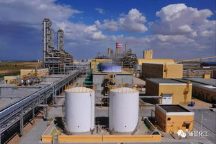 新杭能源與億利潔能首次注入乙二醇上市業(yè)務(wù)，拓展經(jīng)營(yíng)性演出及經(jīng)紀(jì)業(yè)務(wù)新領(lǐng)域